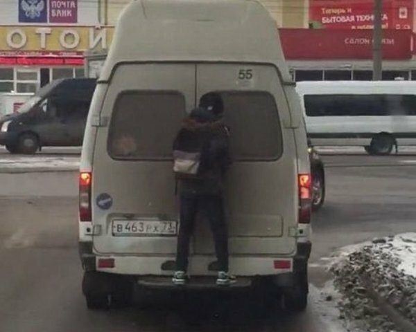18. Зайцы вышли на новый уровень 18. Зайцы вышли на новый уровень Лайфхак, житейская хитрость, прикол, сообразительность, юмор