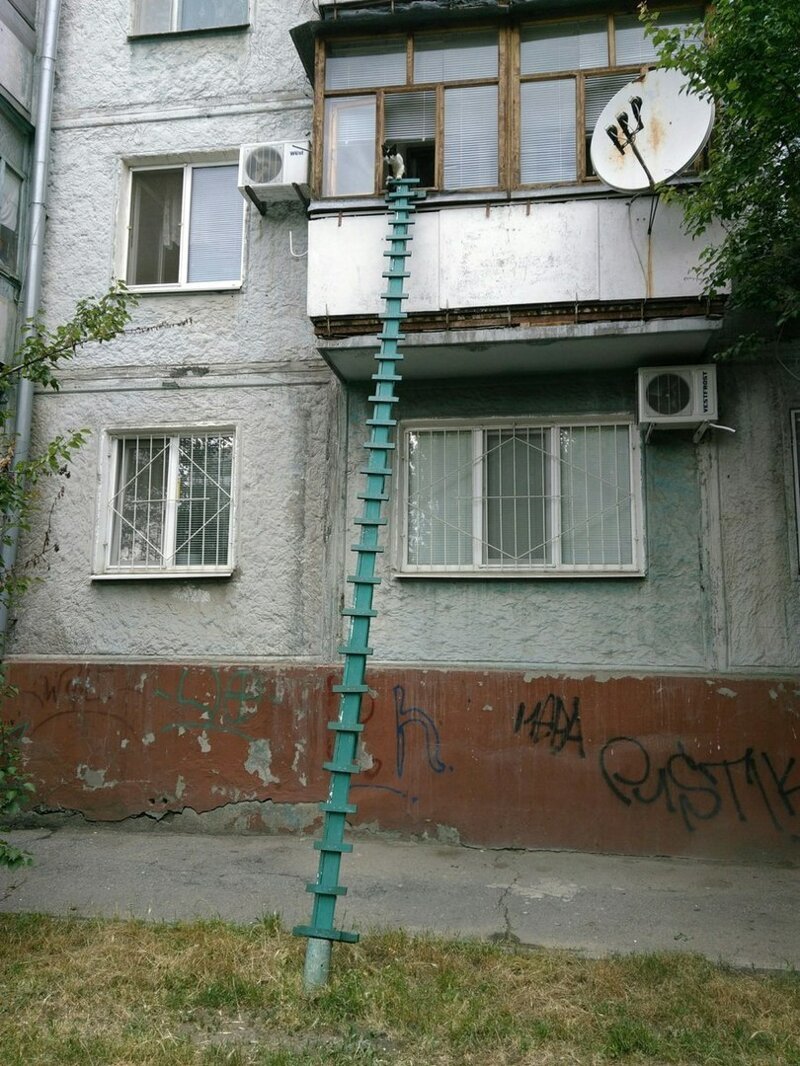 5. Когда любишь своего кота 5. Когда любишь своего кота Лайфхак, житейская хитрость, прикол, сообразительность, юмор