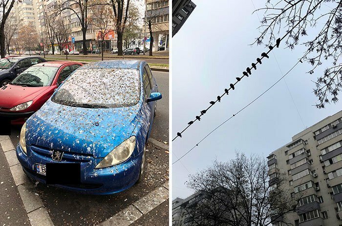19. Владельца машины скоро ждет большая прибыль. И поездка на автомойку 19. Владельца машины скоро ждет большая прибыль. И поездка на автомойку авария, неудача, падение, праздники, провал, худший день