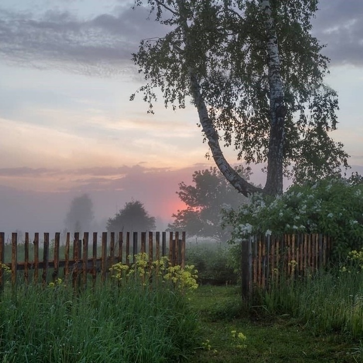 20 фотографий, насквозь пропитанных запахами детства