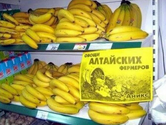 12. Так вот они какие, алтайские овощи 12. Так вот они какие, алтайские овощи надписи, объявления, прикол, россия, смешные объявления