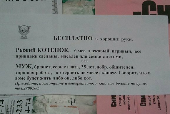 5. Муж накосячил 5. Муж накосячил надписи, объявления, прикол, россия, смешные объявления