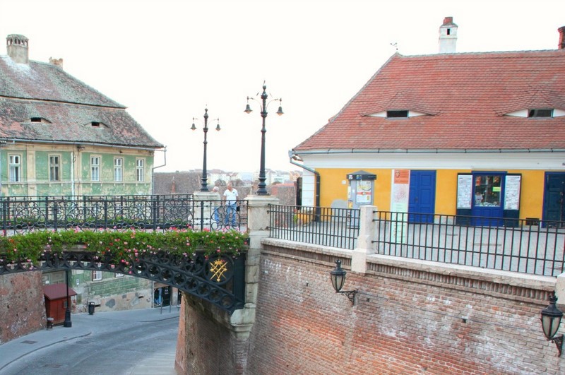 micccp-2020-02-11_11-05-15_783947