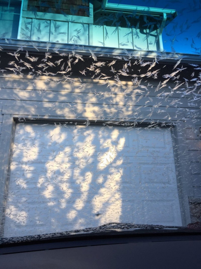 micccp-2020-02-11_11-05-21_205059