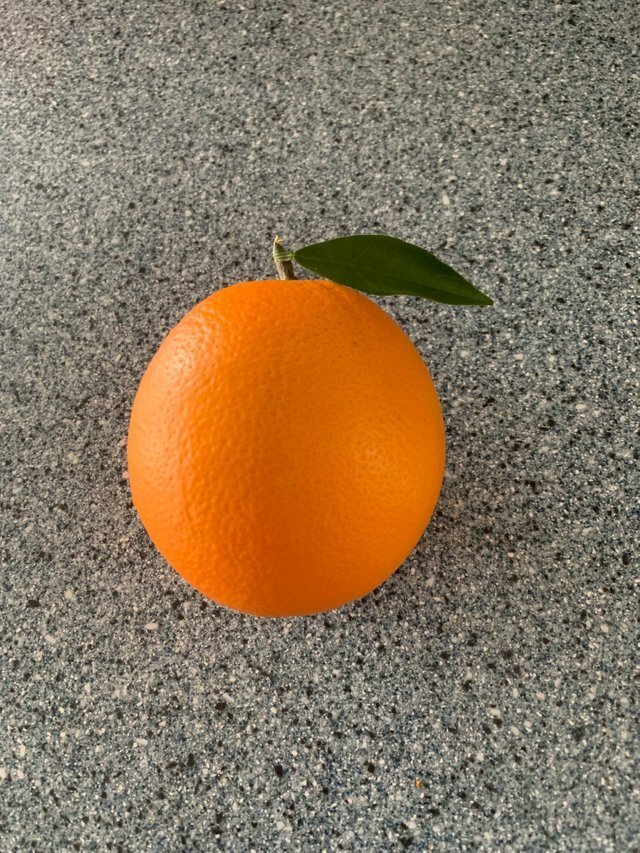 micccp-2020-02-16_09-59-03_494910