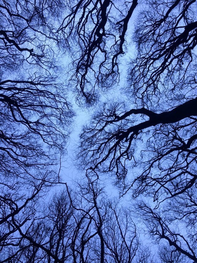 micccp-2020-02-16_09-59-04_573924