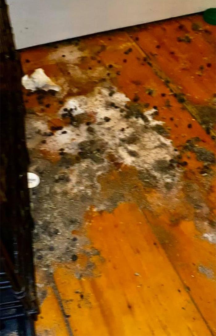 micccp-2020-02-24_11-42-11_062721