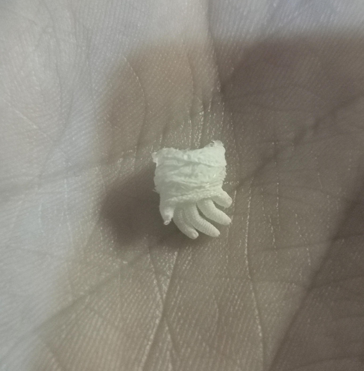 micccp-2022-03-19_11-23-58_700099