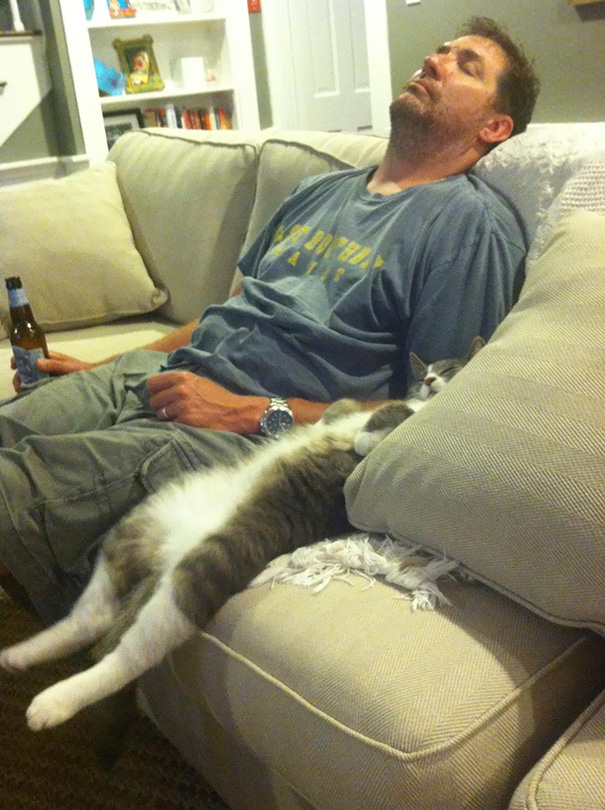 cats-speeping-17